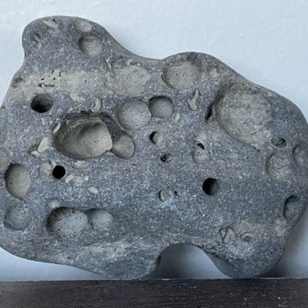 13 oz genuine HOLEY HOLED STONE indent dotted sea creviced ocean beach pebble natural pacific coast omar omarolluk rock hollowed decorative