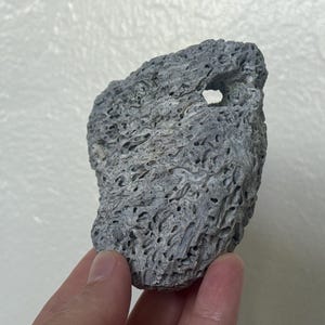 May include: A porous, gray rock with a hole through it. The rock has a rough, textured surface and is held in a person's hand. The rock's color is a muted gray, and it appears to be natural.