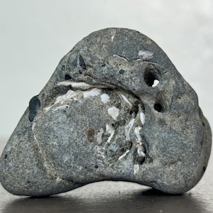 1oz genuine holey FOSSIL HAG STONE natural indentation odin adder faerie fairy protection seeing rock ocean beach pebble fossilized seashell