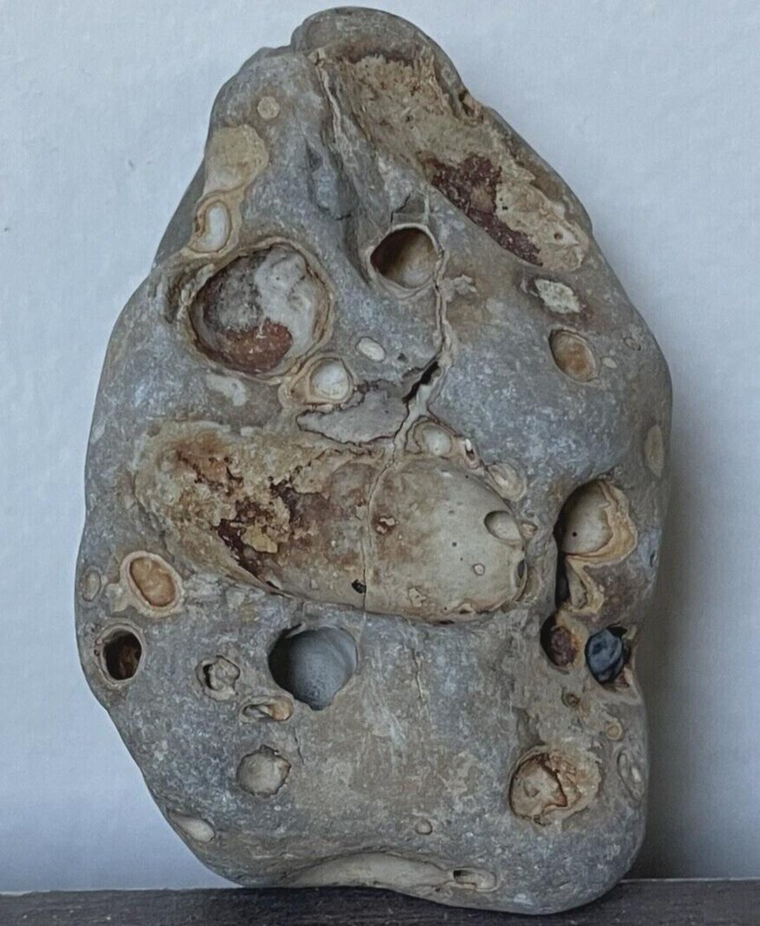 5 Oz Genuine HOLEY HAG STONE Ocean Earth Spirit Faerie Fairy Seeing Sea ...