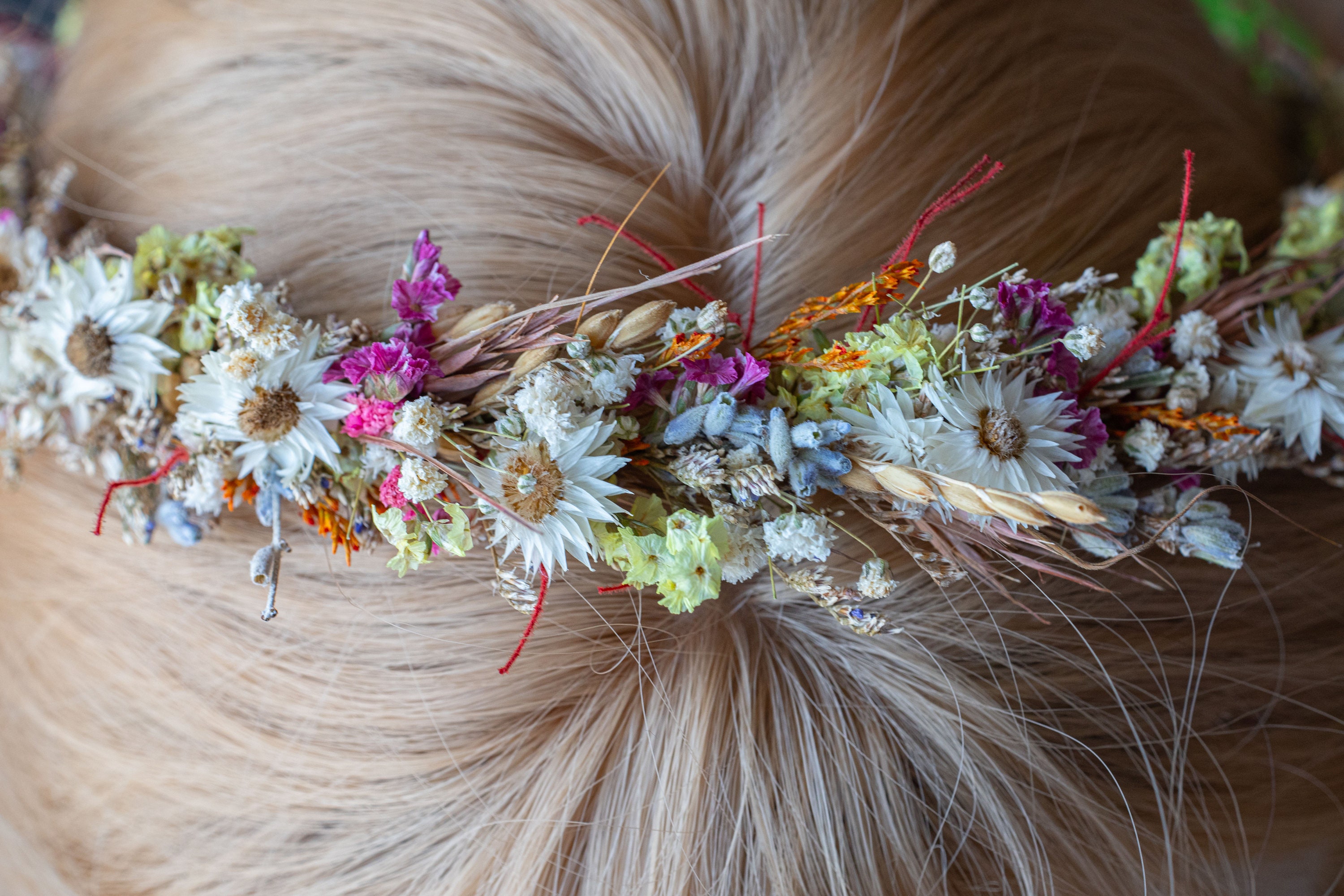 Dried Flower Crown / Meadow Crown / Children Boho Floral