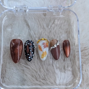 Pode incluir: Um conjunto de seis unhas postiças em uma caixa de plástico transparente. As unhas são decoradas com diferentes designs de outono, incluindo glitter marrom, bolinhas pretas e brancas e um padrão floral com detalhes dourados.