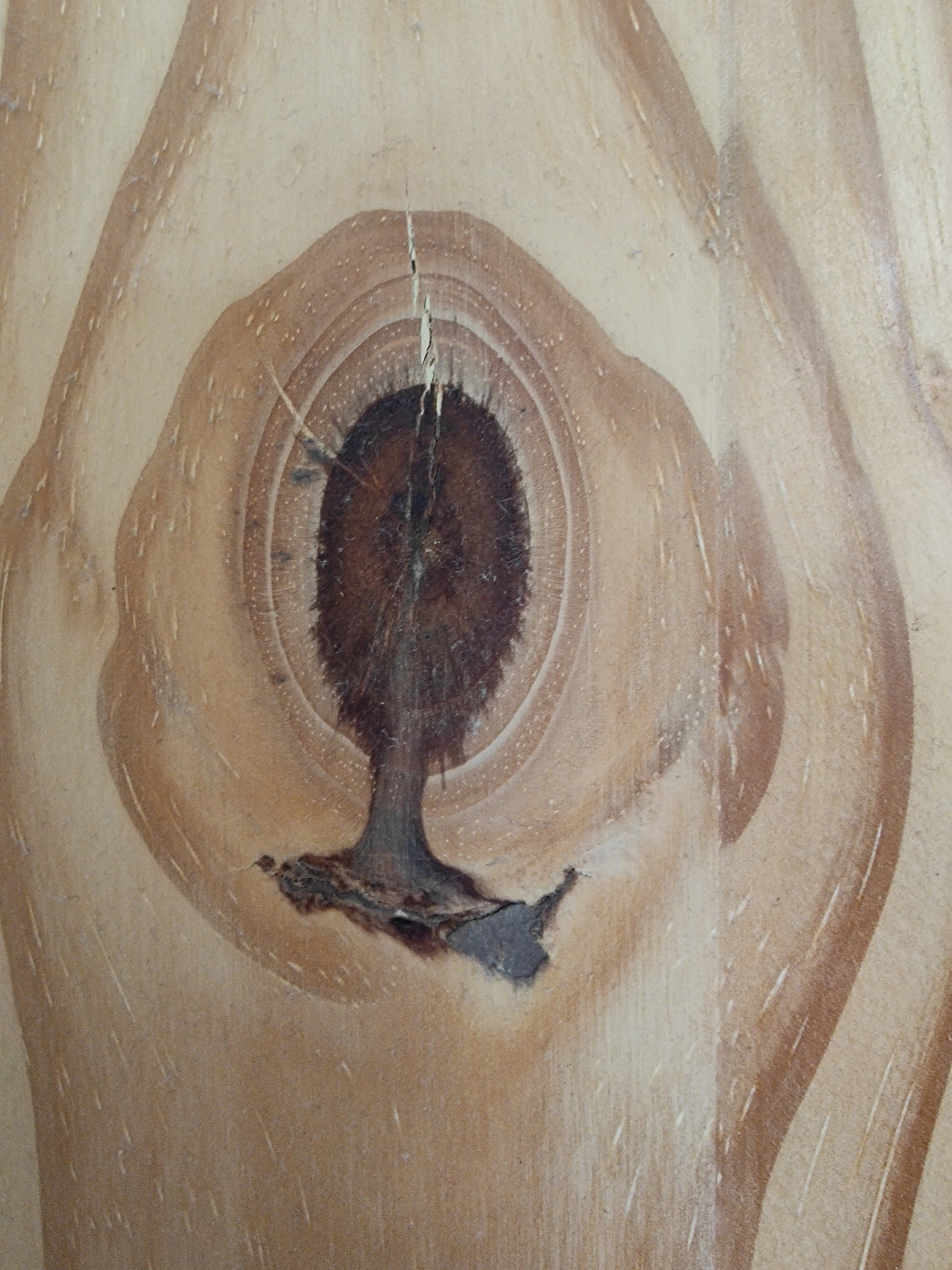 Silhouette in Wood Texture Digital Download | Etsy