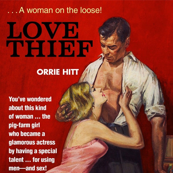 Love Thief by Orrie Hitt
