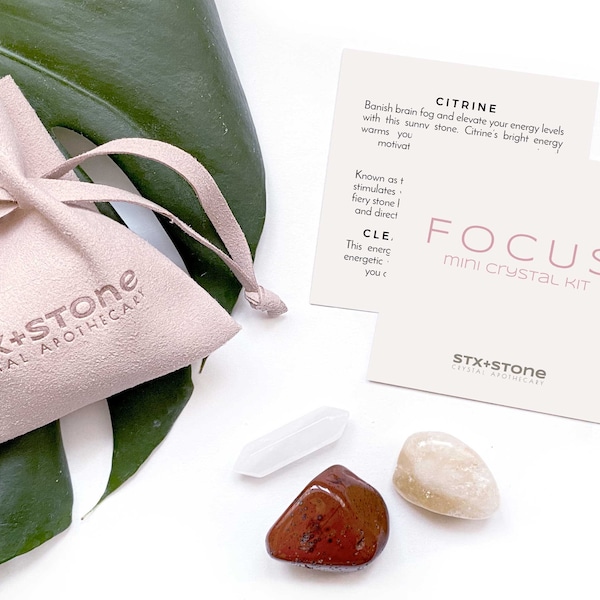 FOCUS Mini Crystal Kit - Citrine, Red Jasper, Clear Quartz Point - Unique Crystal Gift, Student Crystals - Crystals for Focus and Motivation