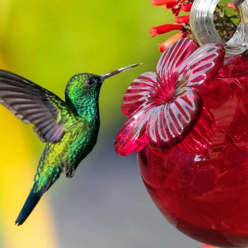 Hummingbird Feeder - Etsy