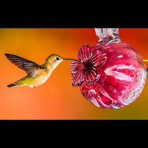 Hummingbird feeder. Blown glass. Hummingbird feeder. Made in Mexico. Hummingbird drinker.
