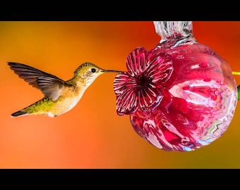 Hummingbird feeder. Blown glass. Hummingbird feeder. Made in Mexico. Hummingbird drinker.