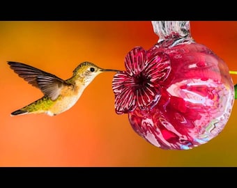 Hummingbird feeder. Blown glass. Hummingbird feeder. Made in Mexico. Hummingbird feeder.