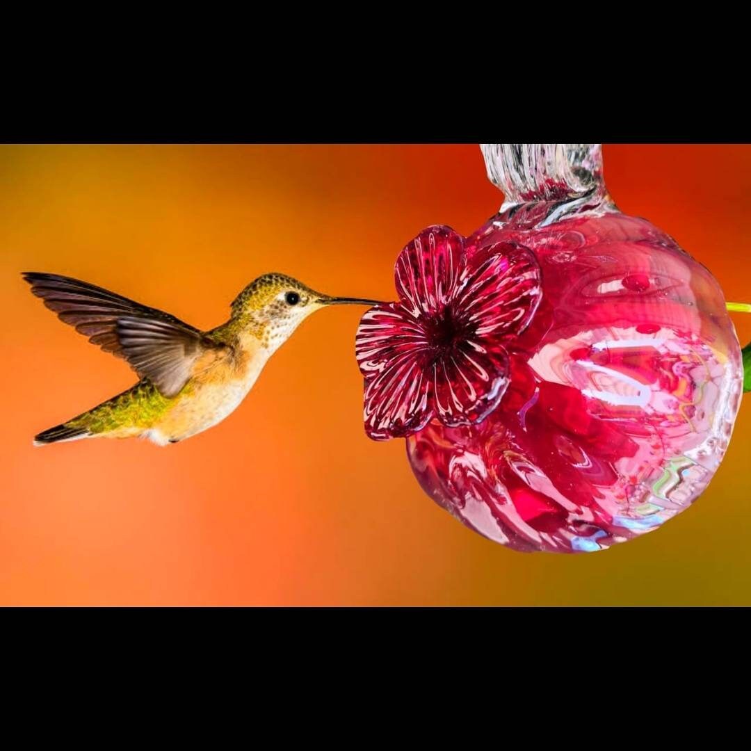 thumbnail image 2 of Quinlirra Clearance Blown Glass Hummingbird Feeders For Outdoors Small Glass Humming Bird Feeder Window Hanging Ant Bee Proof Humming Birds Feeders Decor 2 of 13