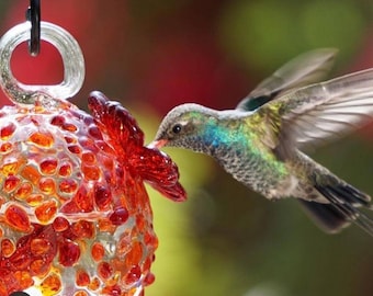 Hummingbird feeder. Blown glass. Made in Mexico. Hummingbird feeder. Outdoors