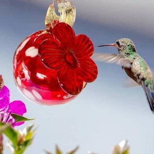 Alimentador para beija-flores. Alimentador para beija-flores. Vidro soprado feito no México. Vermelho com manchas brancas. Alimentador para beija-flores. Relações Exteriores