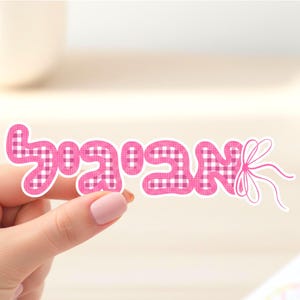 Könnte beinhalten: Ein gestanzter Aufkleber mit dem hebräischen Wort für Schabbat, geschrieben in rosa-weiß karierten Buchstaben mit einem dicken weißen Rand. Das Design enthält eine stilisierte rosa Strichzeichnung einer Schleife am letzten Buchstaben des Wortes.