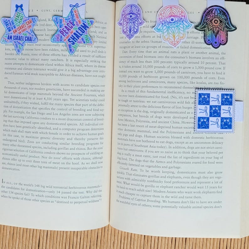 Star of David Magnetic Bookmark, Judaica Page Marker, Hebrew Coquette ...