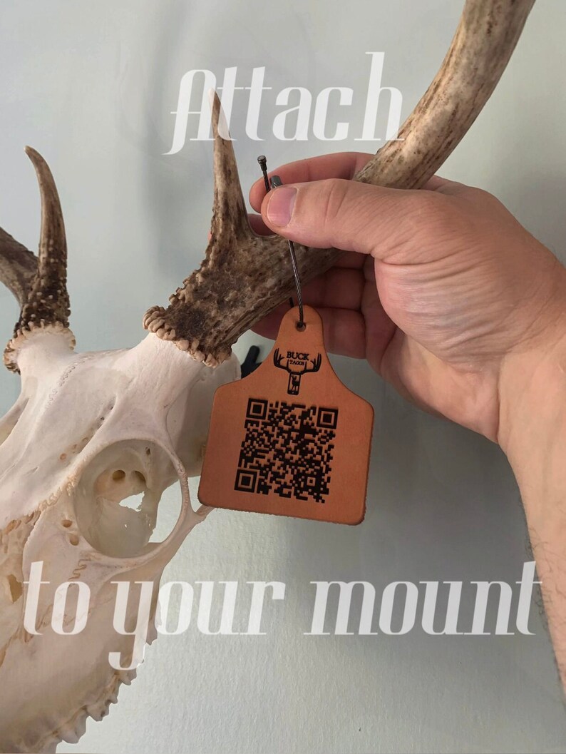 Buck Tags buck Taggs Deer Mount Accessory Etsy