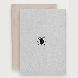 Insektenkäfer Karte | Carte Scarabé | Natürliche Anatomie | Heißfolie | Estampage à chaud
