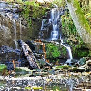 Könnte beinhalten: Ein Wasserfall stürzt über mit Moos bedeckte Felsen in einem üppigen grünen Wald. Das Wasser ist klar und die Felsen sind braun und grau. Der Wald ist dicht und die Bäume sind hoch.