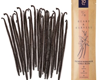 15 BOURBON VANILLA BEANS-PODS FROM NEW HARVEST OF MADAGASCAR 5-6 15 BOURBON VANILLA BEANS-PODS FROM NEW HARVEST OF MADAGASCAR 5-6