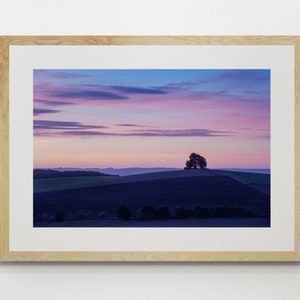 May include: A lone tree stands on a hilltop against a backdrop of a colorful sunset sky. The sky is a mix of pink, purple, and blue hues. The hill is covered in green grass and the horizon is a hazy line of trees.