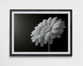 Black and White Flower Photography: Fine Art Mounted Print