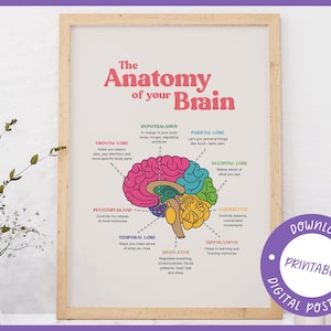 Brain Anatomy Poster, Printable Art, Therapy Office Decor, Mental Health Poster, School Psychologist, Office Decor, Wall Art