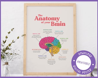 Brain Anatomy Poster, Printable Art, Therapy Office Decor, Mental Health Poster, School Psychologist, Office Decor, Wall Art