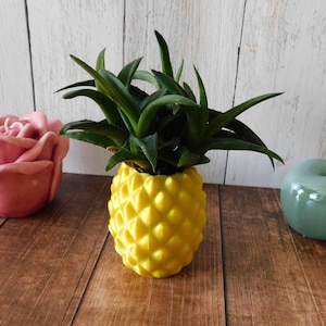 The Pineapple Planter | Ananas Flower Pot