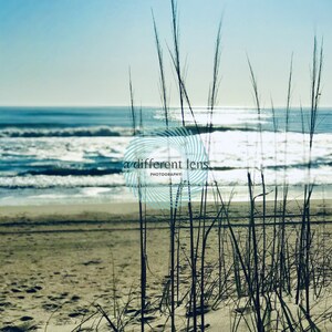 Puede incluir: Una escena de playa serena con hierbas altas y delgadas en primer plano. La playa arenosa conduce al océano, con olas que ruedan suavemente hacia la orilla bajo un cielo azul brillante. La imagen incluye el texto "a different lens PHOTOGRAPHY".