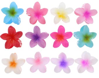 May include: A selection of twelve flower-shaped hair clips in a variety of colours. The clips have a translucent design with shades of blue, pink, red, purple, and white. Each clip has a small clasp.
