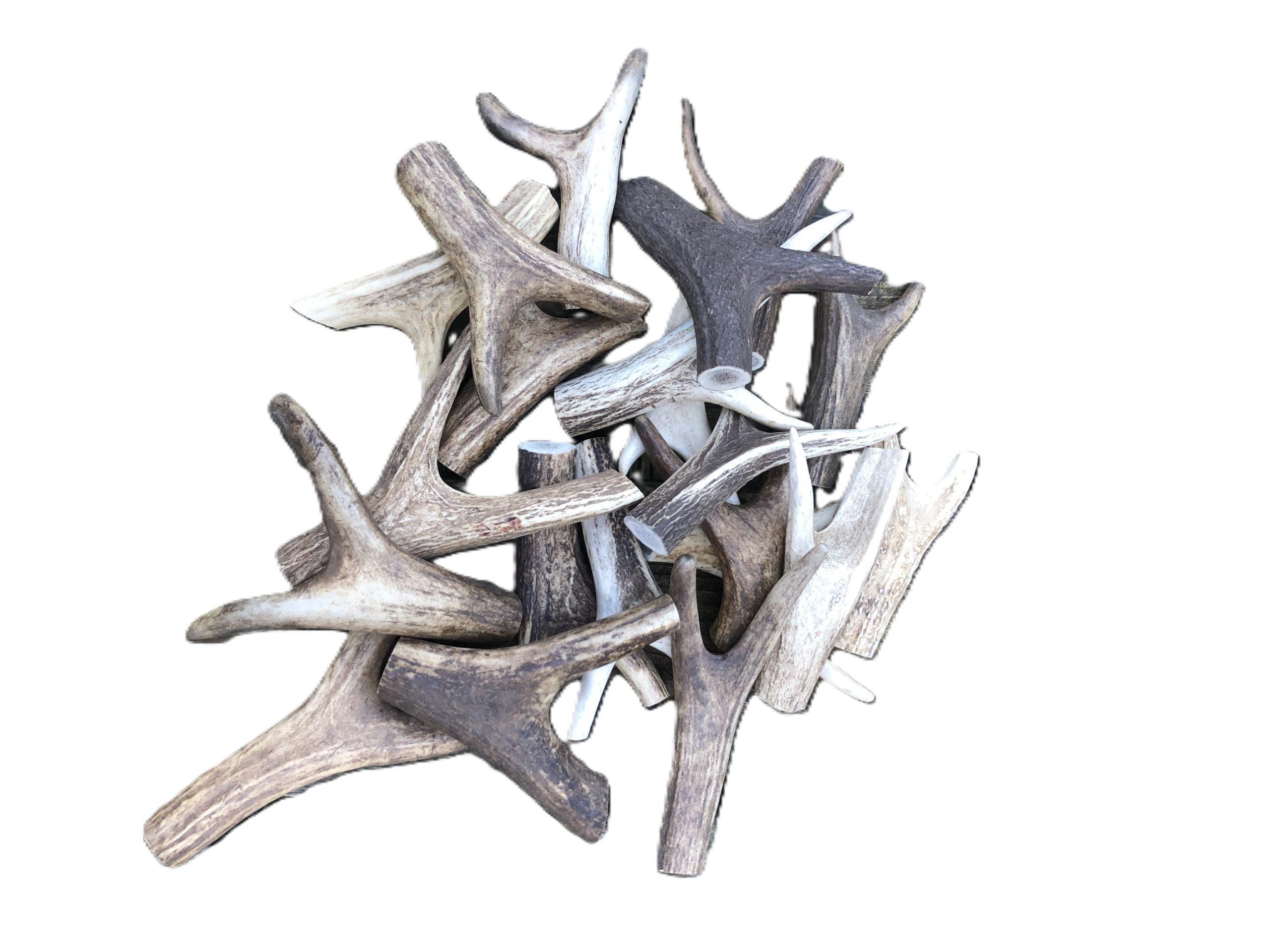 One Stag Horn Fork Thumb stick handle top Antler