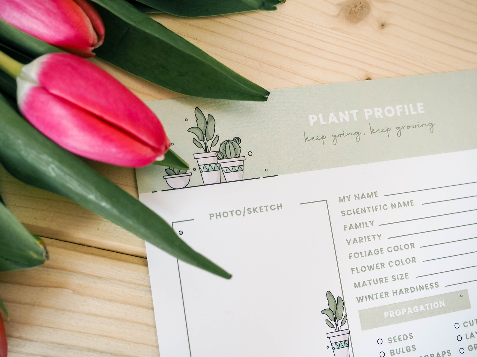 Printable Plant Journal Set of 3/plant Care Journal Bundle/plant