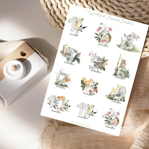 Pegatinas de animales del bosque para hitos, álbum de fotos de bebé, estilo bohemio, para decorar, set de pegatinas de animales.