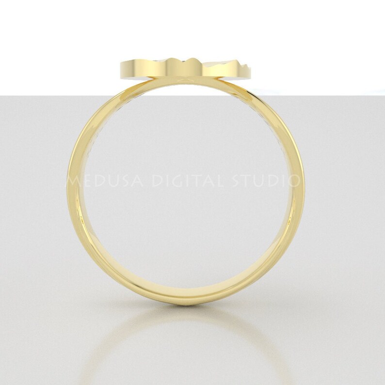 Pu&ograve; includere: Un anello d'oro con una fascia liscia e arrotondata e una parte superiore piatta e circolare.
