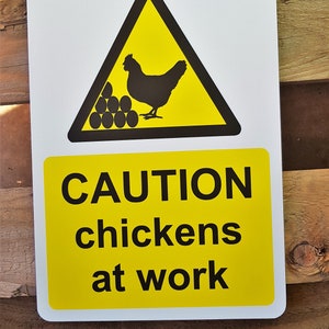 Solid ACM Fun / Novelty  Sign "Caution Chickens at work"