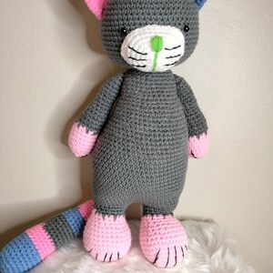 Karl the Cat