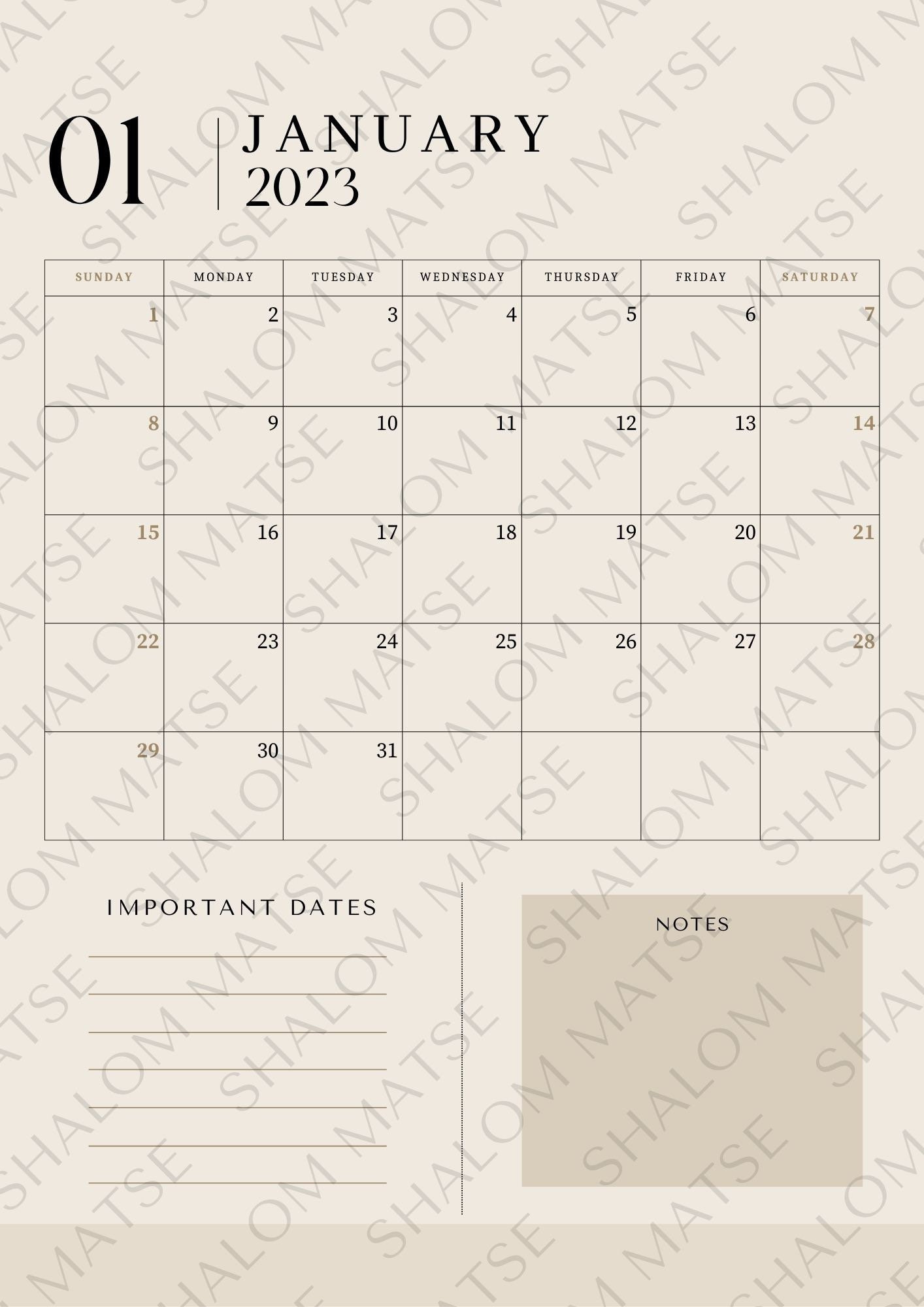 Beige 2023 Digital Planner iPad Planner Weekly & Monthly - Etsy