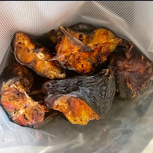 中/大 5個 オーブンで乾燥させたばかりのナイジェリア産ナマズ大カツレツ