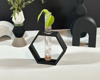 HONEYCOMB Eco-Friendly Propagation Station Luxury Propagation Gift Indoor Planter Housewarming Gift 3D Printed Biodegradable Planter