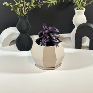 OCTOPOT / Vaso per piante ecologico / Vaso per piante di lusso / Vaso per piante minimalista / Vaso per piante da 4" / Vaso per piante stampato in 3D / Vassoio di drenaggio e gocciolamento