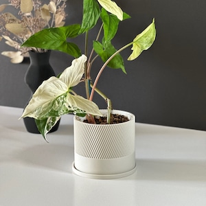 Knurl 3D Printed Plant Pot: Eco-Friendly Minimalist Decor