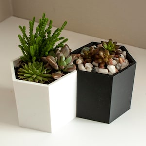 Minimalist HoneyComb Pot - 3D Printed Biodegradable Succulent Pot