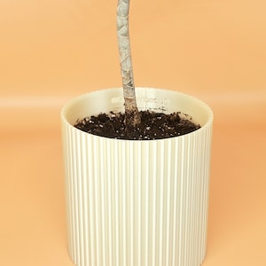 Retro Pearl 3D Printed Planter Pot - 3D Printed Biodegradable Pot with Drainage | Flower Pot | Succulent Pot | Indoor Planter | Indoor Plant
