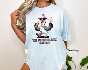 Funny Silly Goose 4th Of July Shirt, Patriotic Comfort Colors Tee, USA Goose Shirt, Independence Day T Shirt, Cute July Fourth Graphic Tee