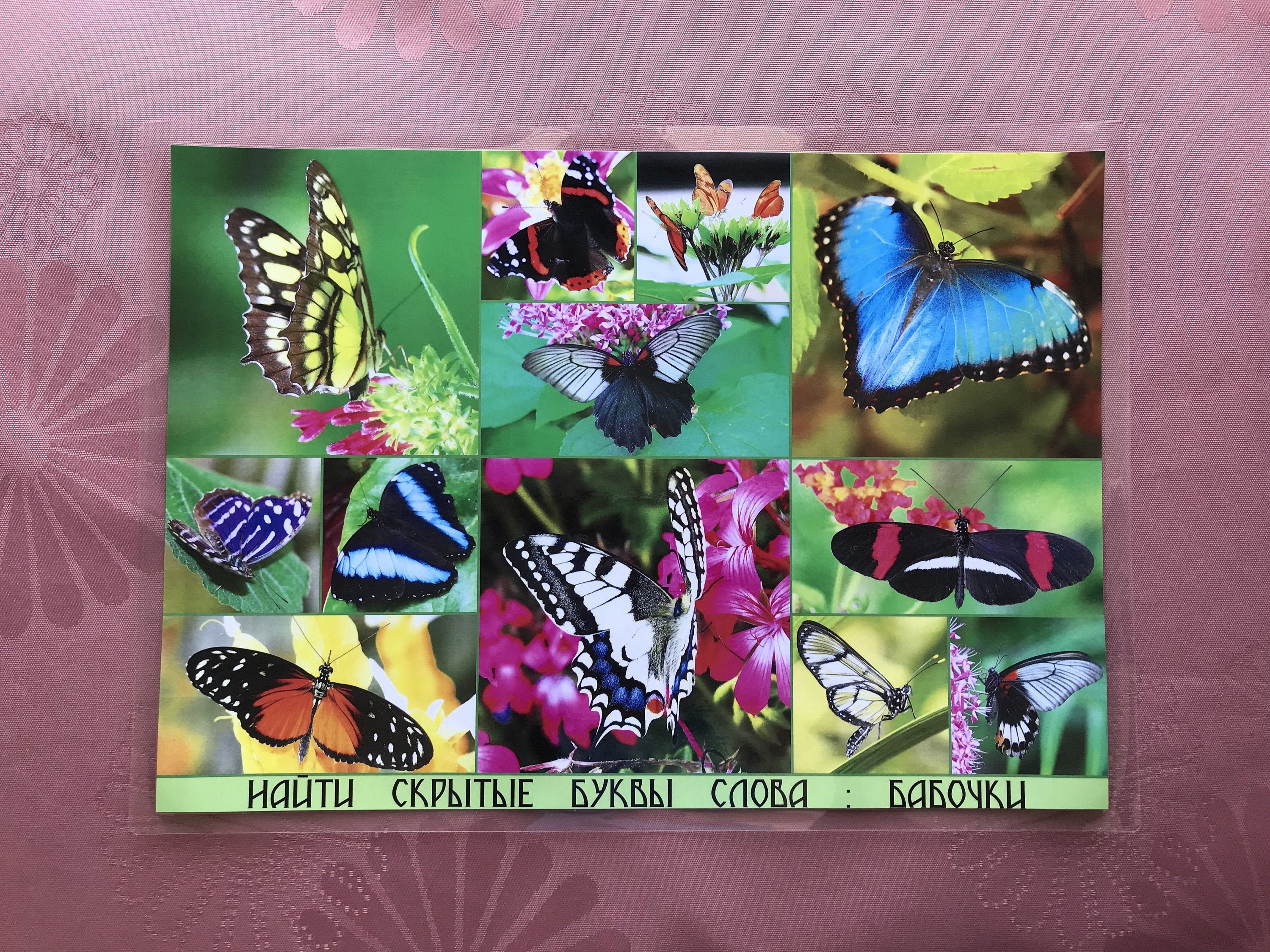 Set de Table en Russe Créatif et Amusant avec Des Lettres Cachées. Modèle Papillons A3 Plastifié 80 