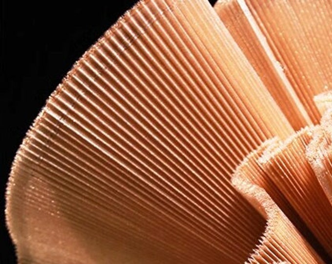 Shiny crinkled-textured pleated tulle fabric, 59" Wide Designer Fabric, Wedding fabric, Gowns, Crafts, Events, Stiff shape & Texture fabric