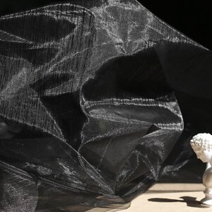 Peut inclure: Tissu noir transparent avec une texture froissée. Le tissu est drapé sur une surface blanche.