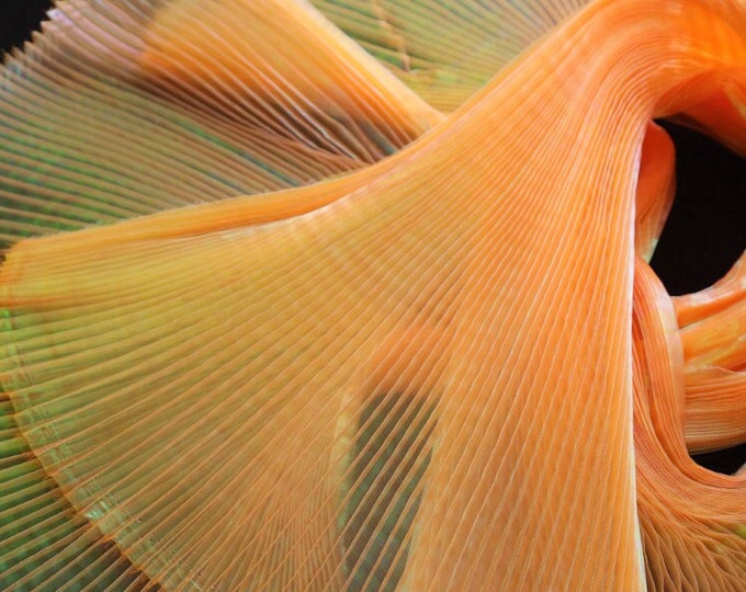Mermaid Pleated Organza Fabric, 55" Wide 4 new Colors Designer Fabric, Wedding, Gown, Crafts, Events, Stiff shape and Texture Decor, Costume