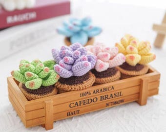 May include: A wooden crate holds four crocheted succulent plants in shades of green, purple, pink, and yellow. The crate has the text "100% ARABICA CAFEDO BRASIL" printed on the side. A blue succulent is in the background.
