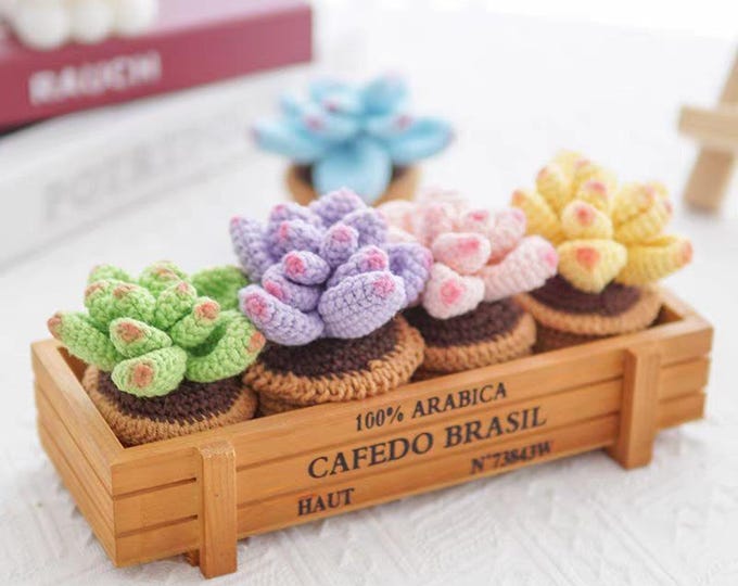 DIY Hand-Woven succulents Kit – Crochet Flower Making Material Package for Handmade Knitted Bouquets, Creative Projects & Relaxing Pastime