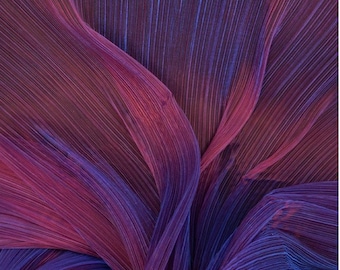 Pleated gradient two tones mesh Organza Fabric, 55"W 5 Colors Designer Fabric, Wedding, Gowns, Crafts, Events, Stiff shape & Texture fabric